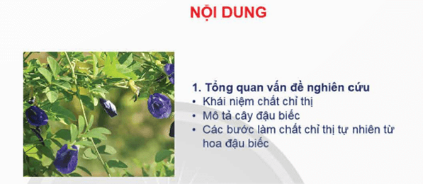 Lý thuyết KHTN 9 Bài 1: Giới thiệu một số dụng cụ và hoá chất. Thuyết trình một vấn đề khoa học | Chân trời sáng tạo