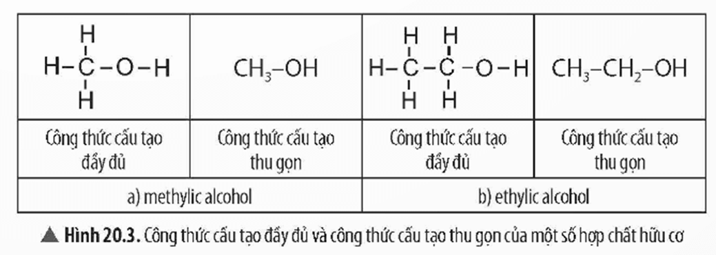 Lý thuyết KHTN 9 Bài 20: Giới thiệu về hợp chất hữu cơ | Chân trời sáng tạo