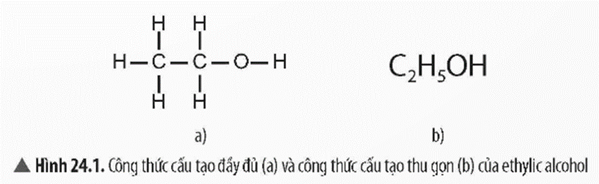 Lý thuyết KHTN 9 Bài 24: Ethylic alcohol | Chân trời sáng tạo