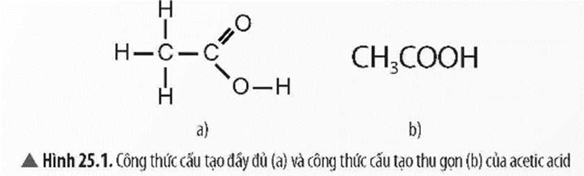 Lý thuyết KHTN 9 Bài 25: Acetic acid | Chân trời sáng tạo