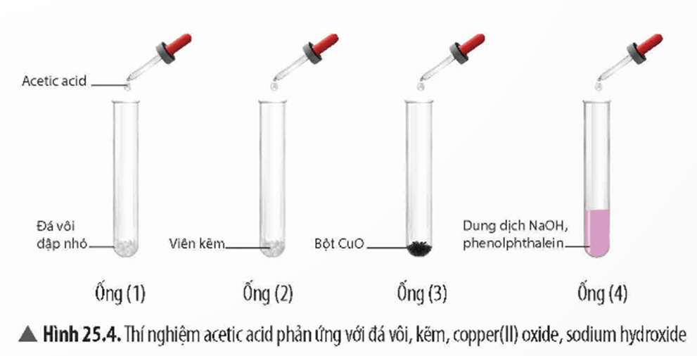 Lý thuyết KHTN 9 Bài 25: Acetic acid | Chân trời sáng tạo