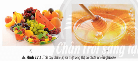 Lý thuyết KHTN 9 Bài 27: Glucose và saccharose | Chân trời sáng tạo