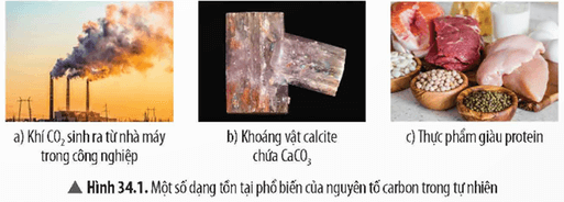 Lý thuyết KHTN 9 Bài 34: Nguồn carbon. Chu trình carbon và sự ấm lên toàn cầu | Chân trời sáng tạo