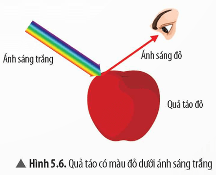 Lý thuyết KHTN 9 Bài 5: Tán sắc ánh sáng qua lăng kính. Màu sắc của vật | Chân trời sáng tạo