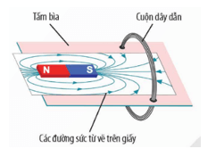 Trắc nghiệm KHTN 9 Bài 12: Cảm ứng điện từ | Chân trời sáng tạo