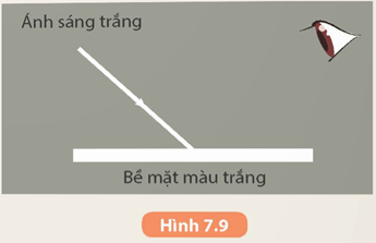 Em hãy biểu diễn các tia sáng đến mắt đối với vật ta quan sát thấy màu trắng