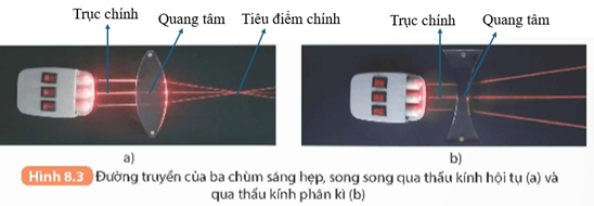 Hãy chỉ ra đâu là trục chính quang tâm tiêu điểm chính của các thấu kính trong Hình 8.3