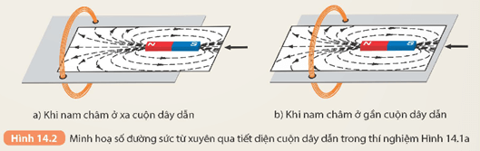 Quan sát Hình 14.2 và cho biết số đường sức từ xuyên qua tiết diện của cuộn dây