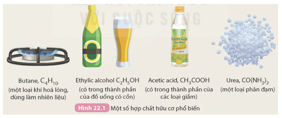 Quan sát công thức của các hợp chất hữu cơ phổ biến trong Hình 22.1