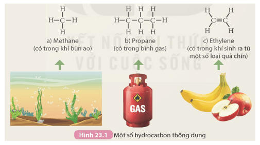 Tìm hiểu về các hydrocarbon thông dụng