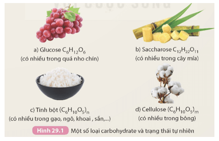 Quan sát công thức phân tử của một số carbohydrate trong Hình 29.1 và thực hiện