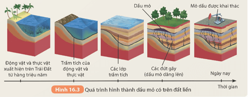 Quan sát Hình 16.3 và thực hiện các yêu cầu sau Mô tả quá trình hình thành