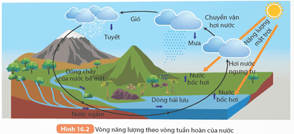 Quan sát Hình 16.2 và thực hiện các yêu cầu sau Mô tả sự chuyển hóa