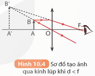 Lý thuyết KHTN 9 Kết nối tri thức Bài 10: Kính lúp. Bài tập thấu kính