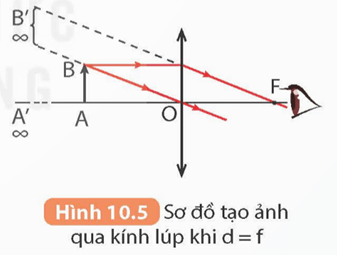 Lý thuyết KHTN 9 Kết nối tri thức Bài 10: Kính lúp. Bài tập thấu kính