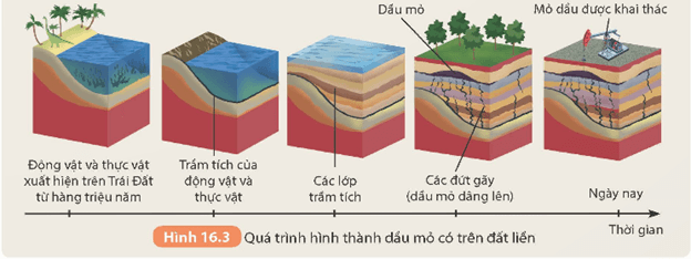 Lý thuyết KHTN 9 Kết nối tri thức  Bài 16: Vòng năng lượng trên Trái Đất. Năng lượng hoá thạch