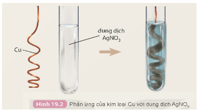 Lý thuyết KHTN 9 Kết nối tri thức Bài 19: Dãy hoạt động hoá học