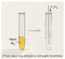 Lý thuyết KHTN 9 Kết nối tri thức Bài 24: Alkene