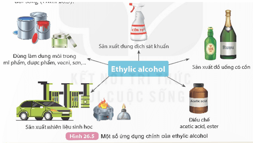 Lý thuyết KHTN 9 Kết nối tri thức Bài 26: Ethylic alcohol