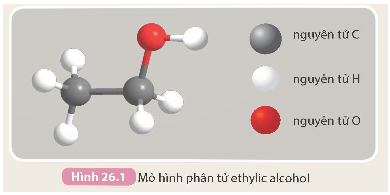 Lý thuyết KHTN 9 Kết nối tri thức Bài 26: Ethylic alcohol