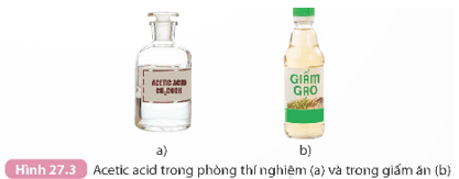 Lý thuyết KHTN 9 Kết nối tri thức Bài 27: Acetic acid