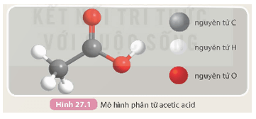 Lý thuyết KHTN 9 Kết nối tri thức Bài 27: Acetic acid