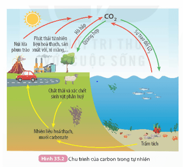 Lý thuyết KHTN 9 Kết nối tri thức Bài 35: Khai thác nhiên liệu hoá thạch. Nguồn carbon. Chu trình carbon và sự ấm lên toàn cầu