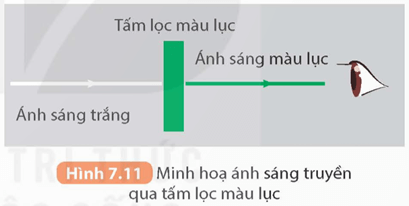 Lý thuyết KHTN 9 Kết nối tri thức Bài 7: Lăng kính