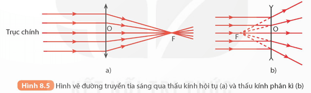 Lý thuyết KHTN 9 Kết nối tri thức  Bài 8: Thấu kính