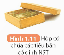 Lý thuyết KHTN 9 Kết nối tri thức Bài 1: Nhận biết một số dụng cụ, hoá chất. Thuyết trình một vấn đề khoa học