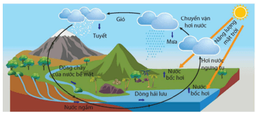 Trắc nghiệm KHTN 9 Bài 16: Vòng năng lượng trên Trái Đất. Năng lượng hoá thạch | Kết nối tri thức