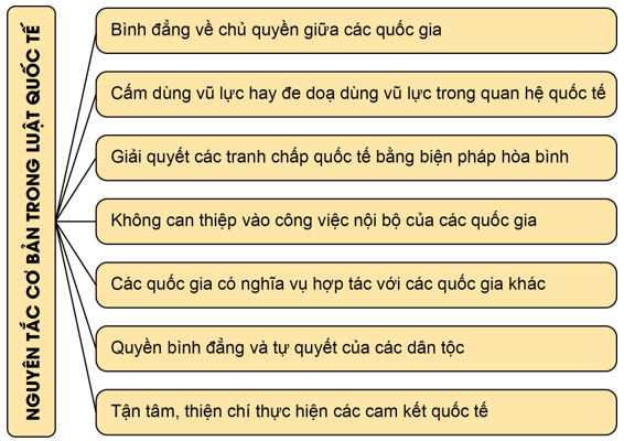 Lý thuyết KTPL 12 Bài 15: Những vấn đề chung về pháp luật quốc tế | Cánh diều