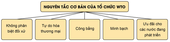 Lý thuyết KTPL 12 Bài 17: Các nguyên tắc cơ bản của Tổ chức Thương mại thế giới và hợp đồng thương mại quốc tế | Cánh diều