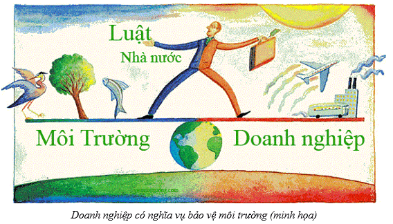 Lý thuyết KTPL 12 Bài 8: Quyền và nghĩa vụ của công dân về kinh doanh và nộp thuế | Cánh diều