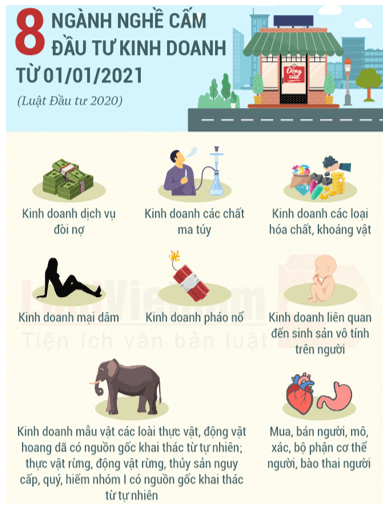 Lý thuyết KTPL 12 Bài 8: Quyền và nghĩa vụ của công dân về kinh doanh và nộp thuế | Cánh diều