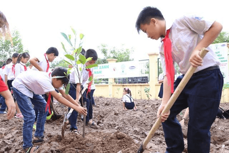 Lý thuyết KTPL 12 Bài 13: Quyền và nghĩa vụ của công dân trong bảo vệ di sản văn hoá, môi trường và tài nguyên thiên nhiên | Chân trời sáng tạo