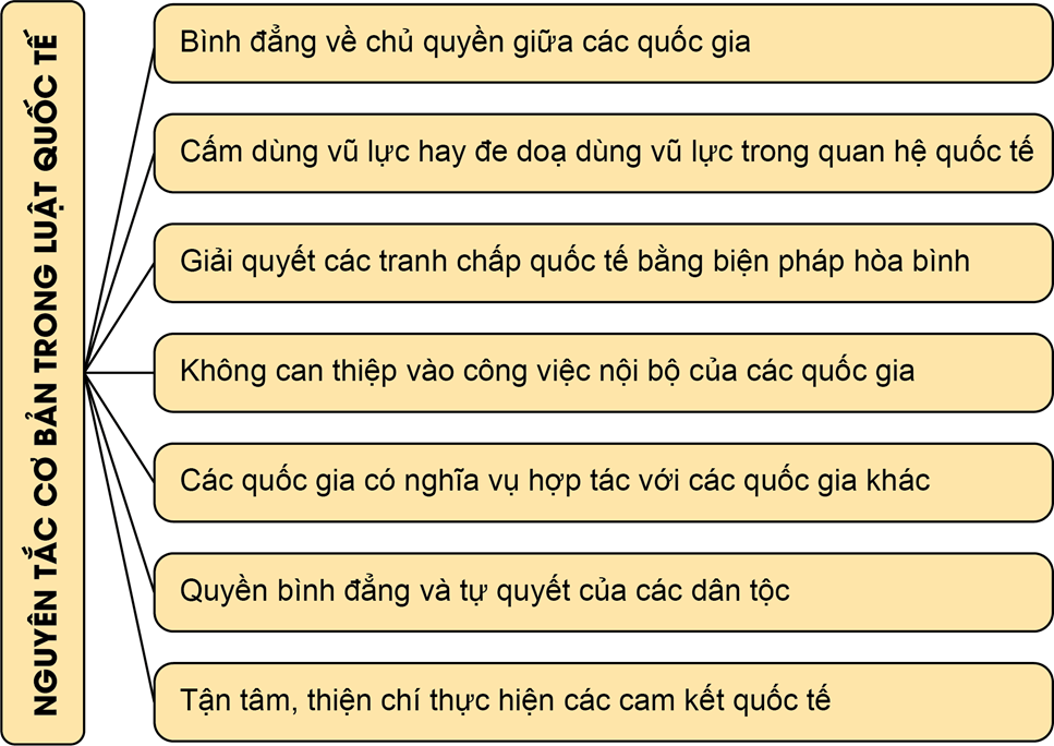 Lý thuyết KTPL 12 Bài 14: Một số vấn đề chung về pháp luật quốc tế | Chân trời sáng tạo