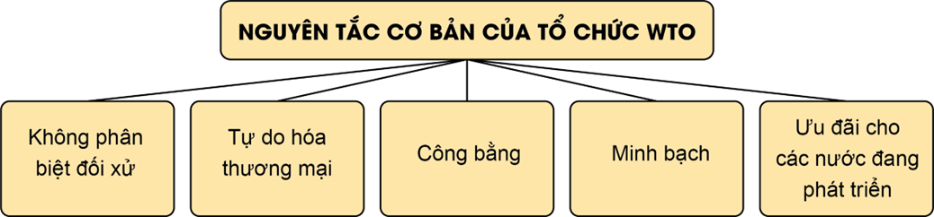 Lý thuyết KTPL 12 Bài 16: Một số nguyên tắc cơ bản của Tổ chức Thương mại Thế giới và hợp đồng thương mại quốc tế | Chân trời sáng tạo