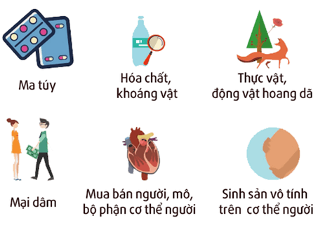 Lý thuyết KTPL 12 Bài 8: Quyền và nghĩa vụ của công dân về kinh doanh và nộp thuế | Chân trời sáng tạo