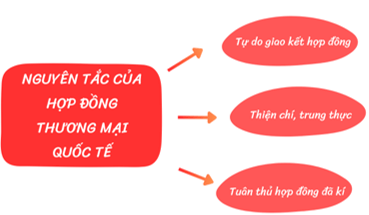 Em hãy thực hiện một sơ đồ tư duy về các nguyên tắc của hợp đồng thương mại