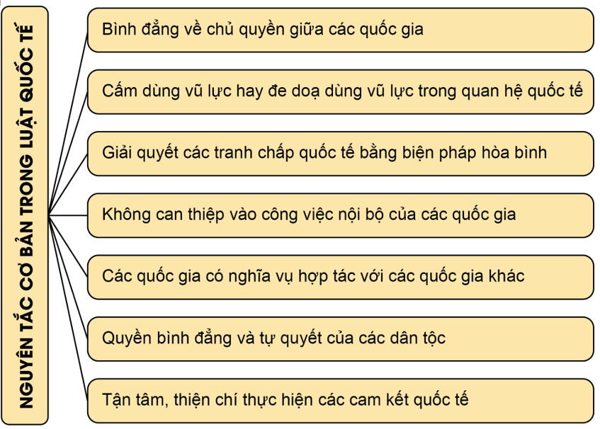 Lý thuyết KTPL 12 Bài 14: Một số vấn đề chung về pháp luật quốc tế | Kết nối tri thức 