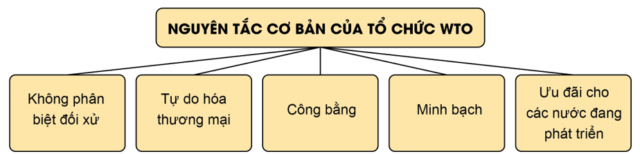 Lý thuyết KTPL 12 Bài 16: Nguyên tắc cơ bản của Tổ chức Thương mại thế giới và hợp đồng thương mại quốc tế | Kết nối tri thức 