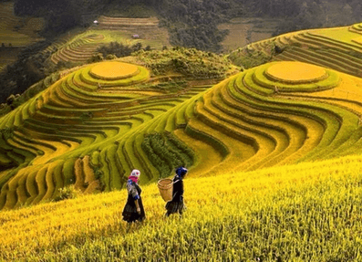 Lý thuyết Lịch Sử 10 Cánh diều Bài 16: Các dân tộc trên đất nước Việt Nam