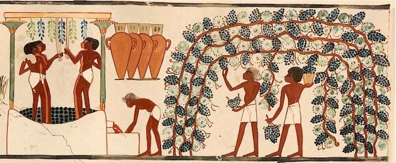 Lý thuyết Lịch Sử 10 Chân trời sáng tạo Bài 6: Văn minh Ai Cập