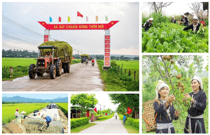 Lý thuyết Lịch Sử 12 Bài 11: Thành tựu cơ bản và bài học của công cuộc Đổi mới ở Việt Nam từ năm 1986 đến nay | Cánh diều