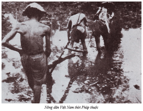 Lý thuyết Lịch Sử 12 Bài 14: Khái quát về cuộc đời và sự nghiệp của Hồ Chí Minh | Chân trời sáng tạo