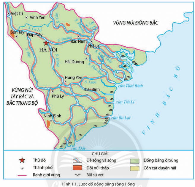 Dựa vào hình 1.1 và thông tin trong bài em hãy trình bày quá trình hình thành