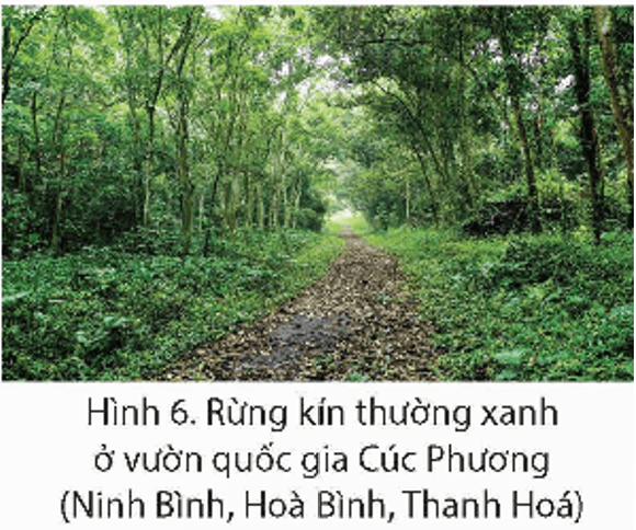 Lịch Sử và Địa Lí lớp 5 Bài 2: Thiên nhiên Việt Nam - Chân trời sáng tạo