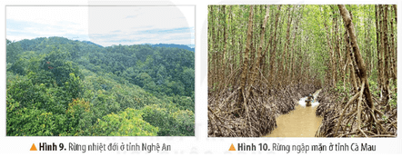 Lịch Sử và Địa Lí lớp 5 Bài 2: Thiên nhiên Việt Nam - Kết nối tri thức