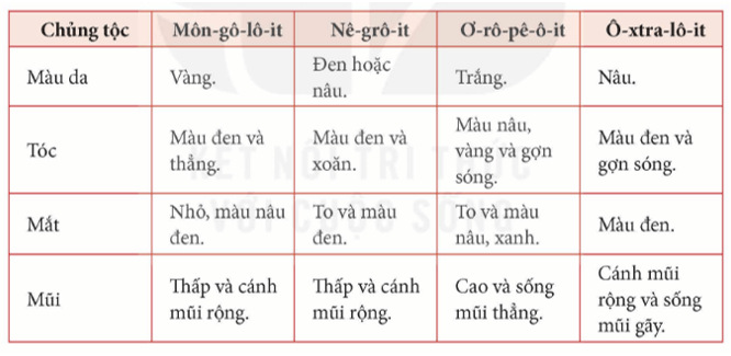 Lịch Sử và Địa Lí lớp 5 Kết nối tri thức Bài 23: Dân số và các chủng tộc chính trên thế giới